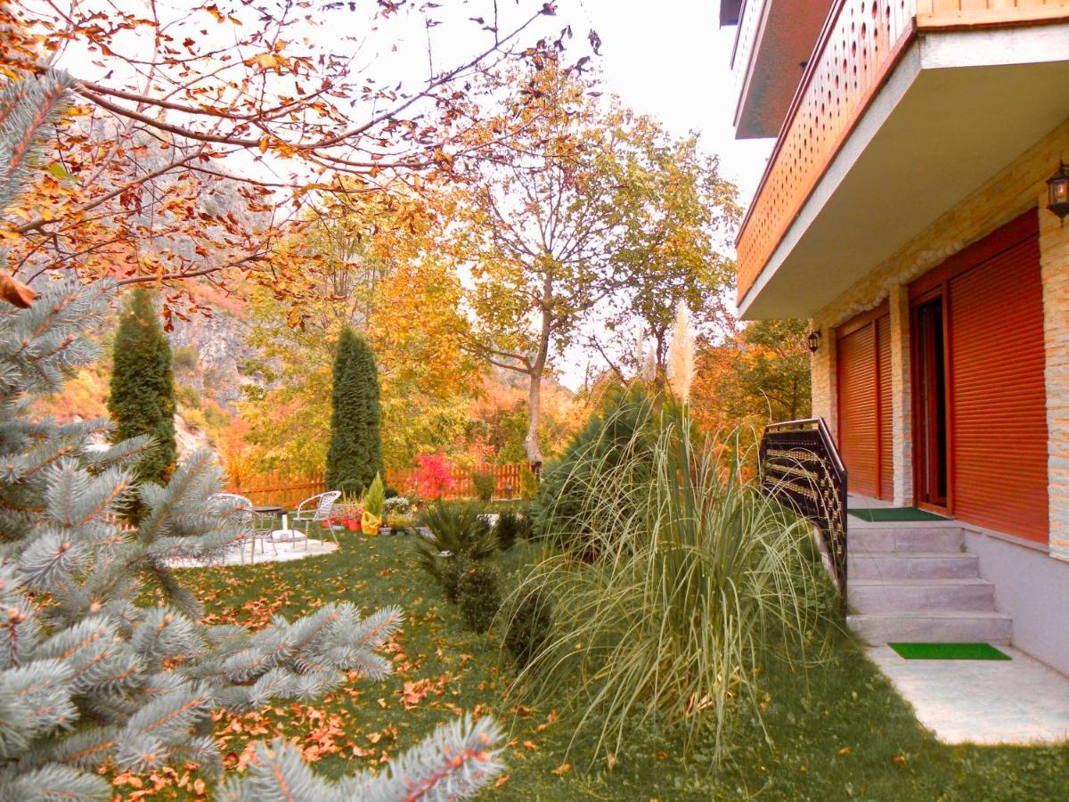Vila Alexander B&B Valbone Eksteriør bilde